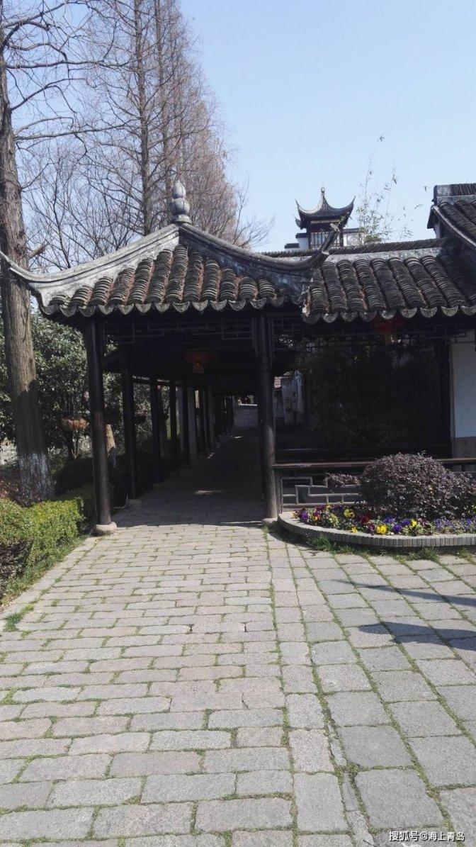 “小神兽”看护难，来三亚共青学园“寒托班”
